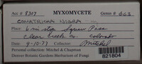 Image Associated With the Occurence
